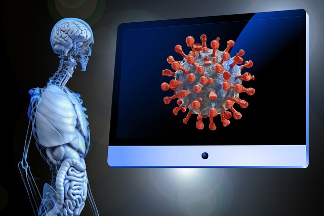 Immunsystem